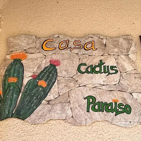 Casa Cactus Paraiso Parque Holandes Exterior photo