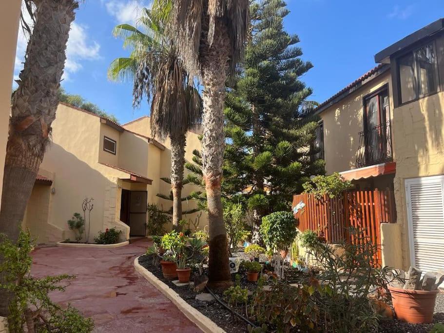 Casa Cactus Paraiso *