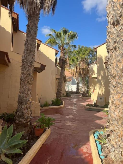 Casa Cactus Paraiso * Parque Holandes