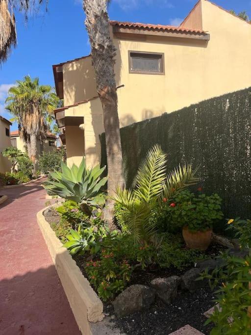 Casa Cactus Paraiso *